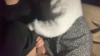 ?Dirty Threesome Frenzy with Two Insatiable Sluts and One Hung Stud?